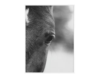 Posters with Wooden Frame