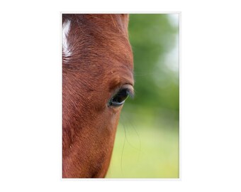 Posters with Wooden Frame