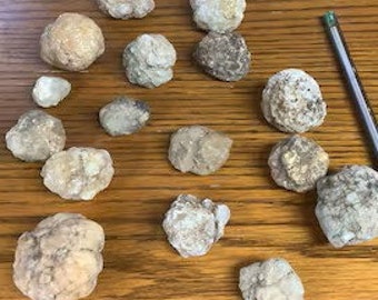 13 kleine ungeöffnete Geoden