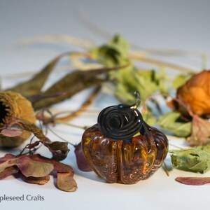 Mini Pumpkin Pumpkin Spice, Fantasy Glass Pumpkin, Handmade Flamework Glass image 4