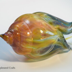 Blown Glass Sea Shell, Cosmic Flame, Hand Blown Glass Seashell Sculpture image 7