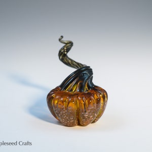 Mini Pumpkin Pumpkin Spice, Fantasy Glass Pumpkin, Handmade Flamework Glass image 8