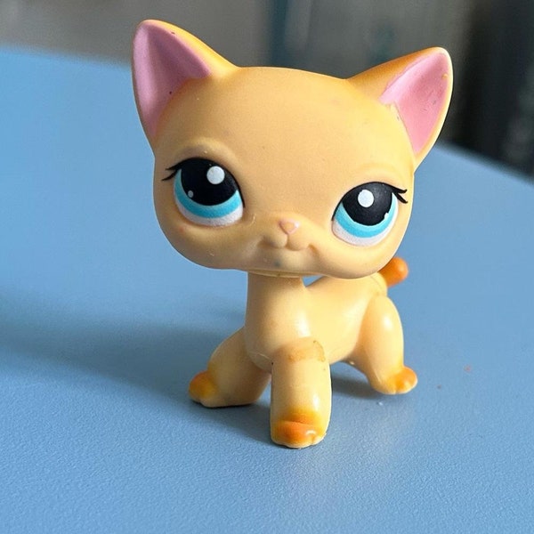 Authentic Rare 339 Orange Shorthair Cat Littlest Pet Shop