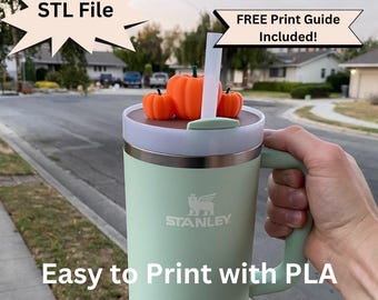 Halloween Pumpkin Stanley Cup Topper, Lid Plate STL File for 3D Printing, 40oz 30oz Tumbler Accessories, Spooky Personalized Custom Cup Tag