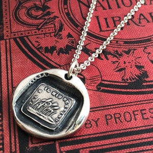 Resilience Necklace - Wax Seal Jewelry - Weathering the Changes - Inspirational Gift