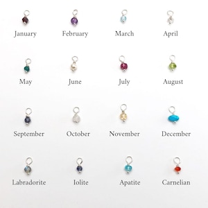 May include: A set of 12 small charms, each featuring a different gemstone representing a month of the year. The charms are arranged in four rows of three, with the month name written below each charm. The charms are made of silver and have a small loop at the top for attaching to a necklace or bracelet.