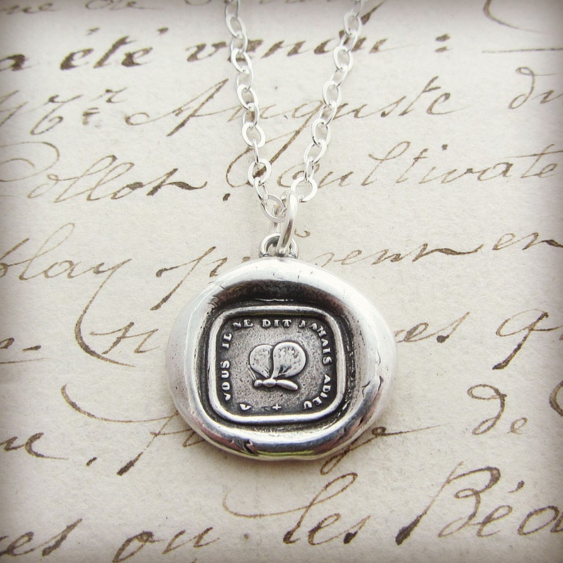 Goodbye Gift Butterfly Wax Seal Pendant Necklace never say goodbye Victorian French motto Wax Seal Jewelry image 6
