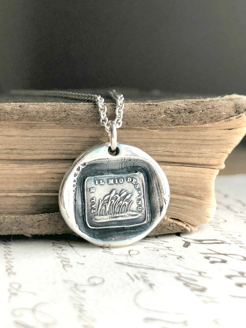 Resilience Necklace Wax Seal Jewelry Weathering the Changes Inspirational Gift image 2