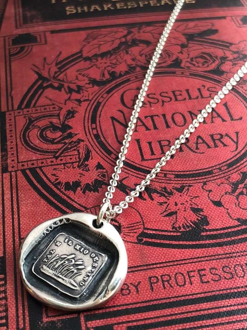 Resilience Necklace Wax Seal Jewelry Weathering the Changes Inspirational Gift image 1