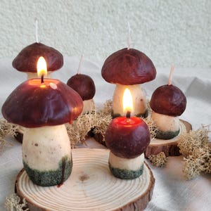 Könnte beinhalten: Pilzförmige Kerzen mit burgunderfarbenen Kappen und cremefarbenen Stielen, einige mit warmem Schein beleuchtet. Die Kerzen stehen auf kleinen Holzscheiben, umgeben von getrocknetem Moos, was eine skurrile, natürliche Ästhetik erzeugt.