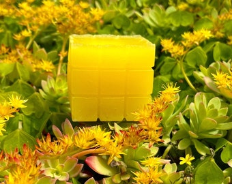 DALIA cubo giallo primaverile dalla fragranza floreale.