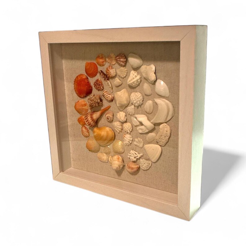 Handmade Seashell Shadow Box Art – Coastal Beach Decor (9x9) - Etsy