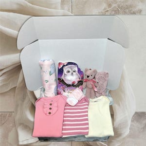 女の子向けフクロウのベビーシャワーギフトボックス｜お手頃価格のワンジーセット（0～3ヶ月）、おくるみブランケット、ボードブック｜ベビーシャワーの必需品