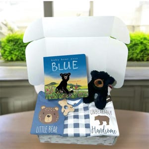 Bear Baby Gift Set: Cotton Onesies, Plush Toy & Book 3-6 Months