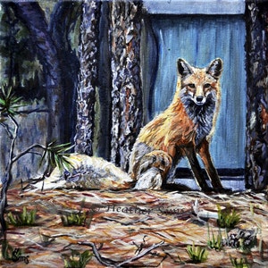 Fox ART glicee fox print, animal Wildlife artwork, art print ,woodland animals size and mat Option. Heather Sims