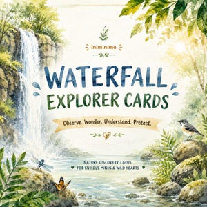 Op de afbeelding: Een set Waterfall Explorer Cards met aquarelillustraties van een waterval, weelderig groen, een vogel, een libel en een vlinder. De tekst luidt: iniminime, WATERFALL EXPLORER CARDS, Observe. Wonder. Understand. Protect., NATURE DISCOVERY CARDS FOR CURIOUS MINDS & WILD HEARTS.
