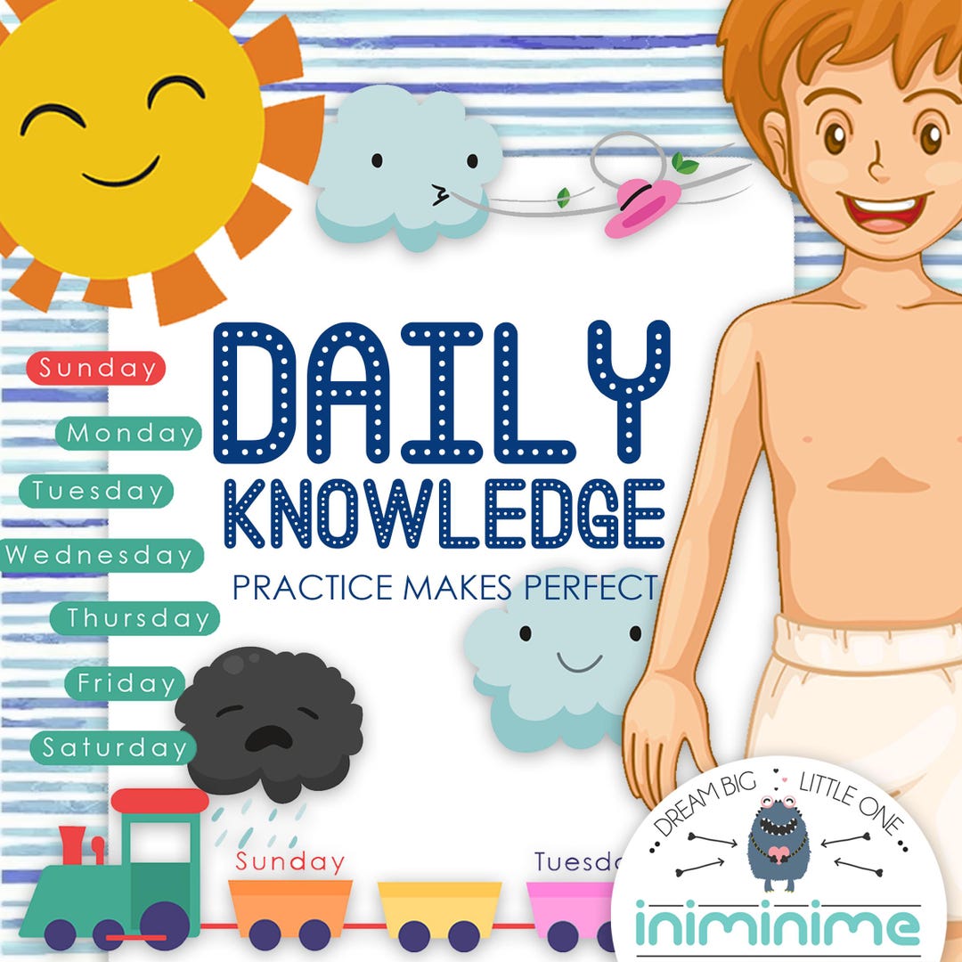Daily Knowledge | 24 Pages Worksheets - Flashcard, Worksheet, Kids ...