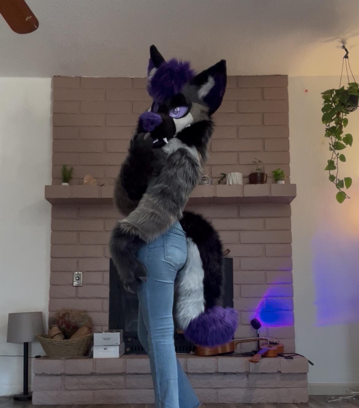 Grumpy Purple Wolf Fursuit Partial