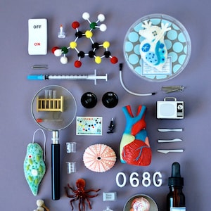 Print: Bioscience - Photograph Poster Science Lab Microbe Biology Wall-Art Miniature Collage Wall-decor HineMizushima Microbe Nature Anatomy