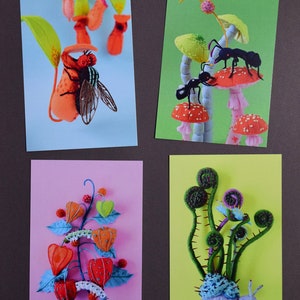 Four Postcard Set: Hiné's Soft Sculpture Collection F plants fiddlehead snail ant mushroom nepenthes physalis fly HineMizushima 水島ひね image 2