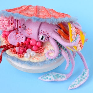 Print: Squid Treasure Chest photograph poster wall-decor HineMizushima cute sea-creature wall-art sea-shell ocean marine-biology 水島ひね image 1