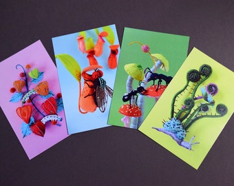 Four Postcard Set: Hiné's Soft Sculpture Collection F (plants) - fiddlehead snail ant mushroom nepenthes physalis fly HineMizushima 水島ひね