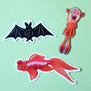 A Set of 5 Stickers: clam bat illustration art HineMizushima laptop-decal print shipping-label fish ant squid mushroom vinyl 水島ひね シール image 3