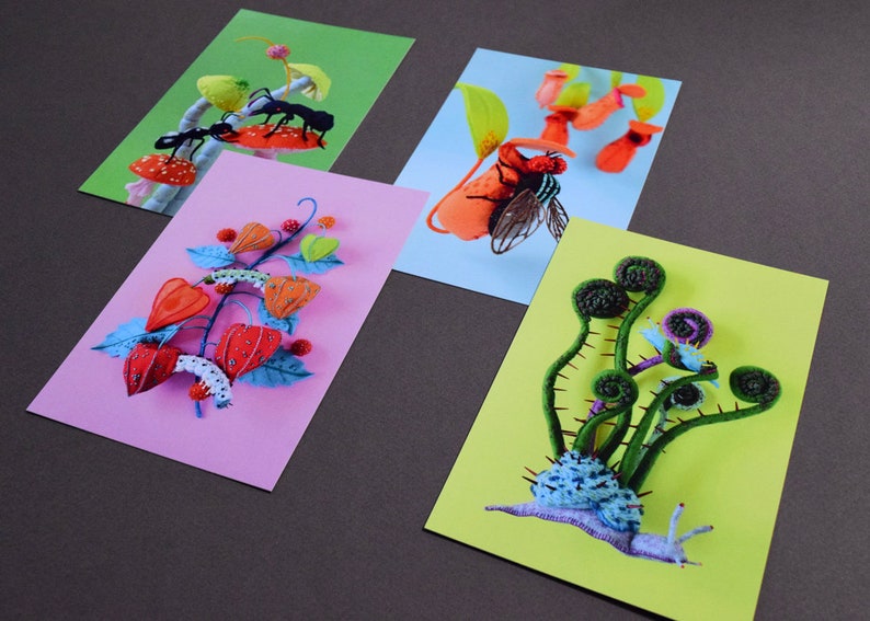 Four Postcard Set: Hiné's Soft Sculpture Collection F plants fiddlehead snail ant mushroom nepenthes physalis fly HineMizushima 水島ひね image 3