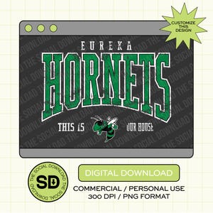 Puede incluir: Gráfico de descarga digital con "Eureka Hornets" en texto verde desgastado sobre un fondo gris oscuro. Incluye un dibujo de un avispón y la frase "This is our house". El diseño está dentro de un marco de ventana de ordenador.
