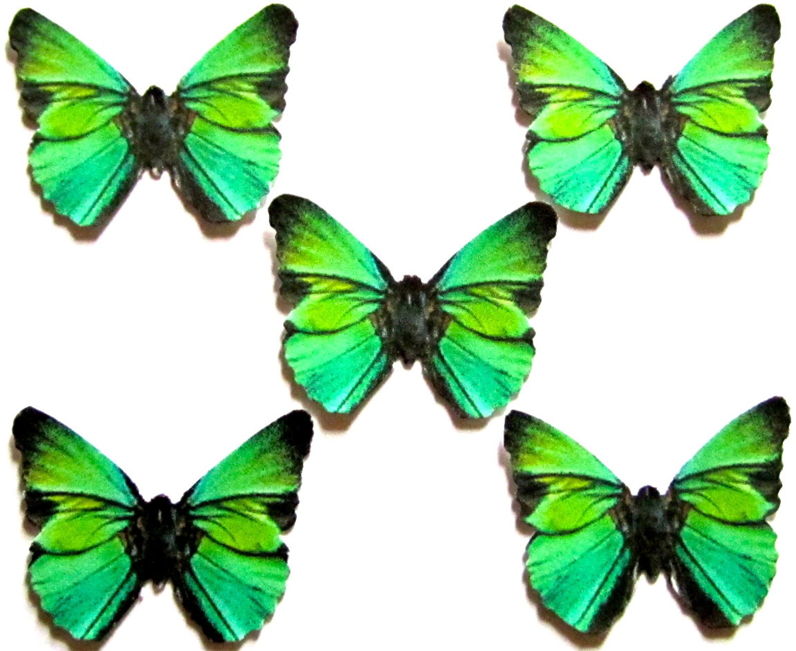 24 Topical Green & Black Butterflies for DIY weddings DIY Etsy
