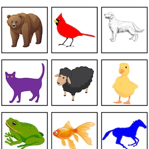 45-Page Brown Bear Brown Bear Activities Speech Therapy & Preschool Lesson Plan Ideas Digital Download Brown Bear Brown Bear Activity Pack
