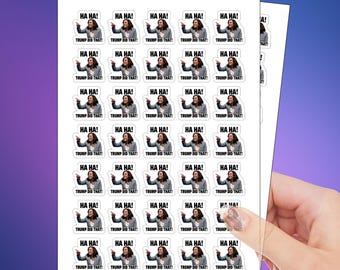 I Did That Trump Meme Stickers - Funny Political Decals