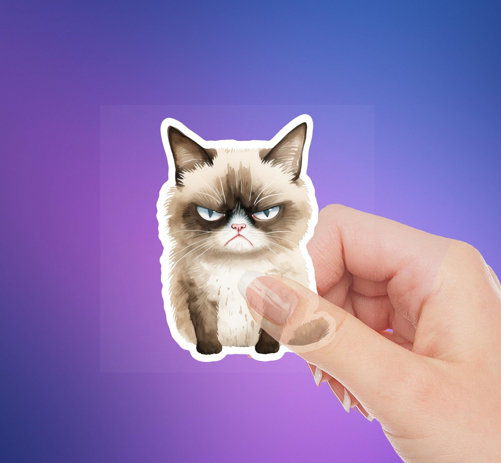 Cat Face Meme - Technical View