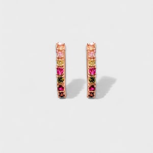 Rainbow Gemstone Hoop Earrings: Gold LGBTQ+ Jewelry Gift
