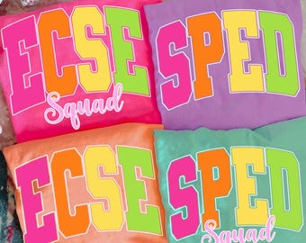 Retro Neon Back to School Distressed PNG Bundle, School Occupation Png Bundle, SPED Teacher Png, ECSE Png, Special Education Png, Colorful