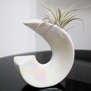 May include: White ceramic vase with an iridescent finish shaped like a crescent moon. The vase is sitting on a black surface and has a small air plant inside.