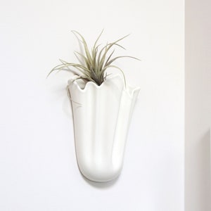 May include: White ceramic wall planter with a wavy, ruffled edge, featuring a small air plant.