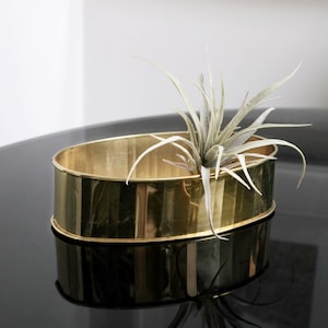 Könnte beinhalten: Ein goldfarbener, oval geformter Pflanztopf mit einer lebenden Luftpflanze. Der Pflanztopf besteht aus glänzendem Metall und spiegelt die Oberfläche wider, auf der er steht. Die Luftpflanze hat lange, schlanke, hellgrüne Blätter.