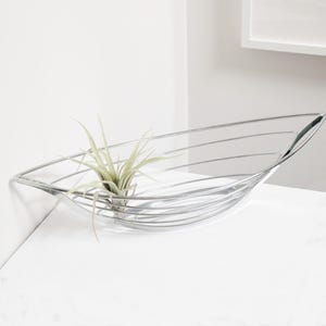 May include: A contemporary, silver metal decorative bowl in a boat shape, containing a small green plant. The bowl features a sleek, minimalist design with curved lines and a polished finish. The plant adds a touch of natural colour to the design.