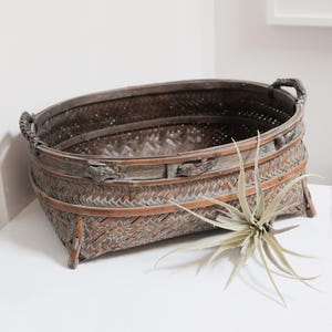 May include: A rectangular woven bamboo basket with rounded corners. The basket is dark brown with lighter brown accents and has two rope handles. A decorative plant with long, thin leaves sits beside the basket.