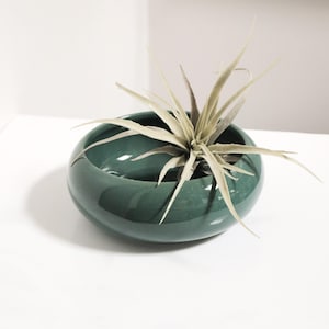 May include: A dark teal ceramic planter with a rounded shape, holding a light green air plant. The planter has a glossy finish and sits on a white surface. The air plant has long, slender leaves extending outwards.