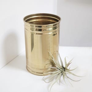 May include: A cylindrical, gold-coloured metal container with horizontal bands near the top and bottom. A light green air plant rests beside the container. The container has a reflective surface and sits on a white surface.