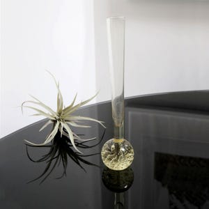 May include: A clear glass bud vase with a round, textured, yellow base. The vase is sitting on a black surface.