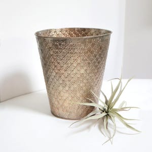 May include: A gold-toned metal planter with a textured floral pattern. The cylindrical pot has a flared top. A small, green air plant sits beside the planter on a white surface. The planter is suitable for indoor use.