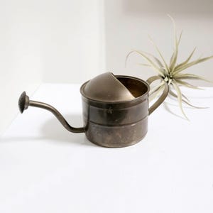 Vintage Small Aged Brass Watering Can w/ Shower Spout, Bronze Tone Metal Vase, Cottagecore Gardening Decor, Plant Shelf, Retro Style Planter