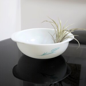 May include: White ceramic mixing bowl with a blue wheat design. The bowl is sitting on a black surface with a small air plant inside.