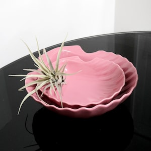 May include: Two pink ceramic bowls shaped like seashells, with a small air plant in the centre of the bowls.