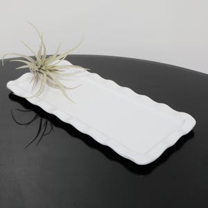 May include: A white rectangular serving tray with a scalloped edge. An air plant with long, thin, green leaves sits on the tray. The tray is on a black surface.
