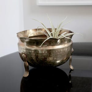 May include: A gold-toned metal planter with three legs and a scalloped rim. The planter is filled with a small green plant.