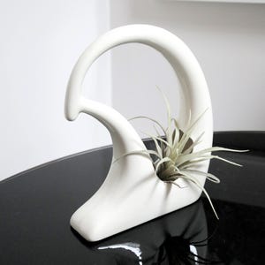 May include: White ceramic planter with an abstract design, featuring a curved opening and a small plant inside.